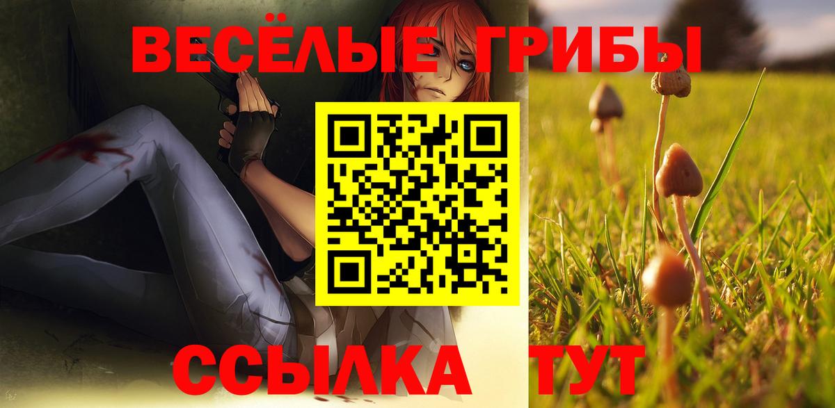ГАШ Красногорск